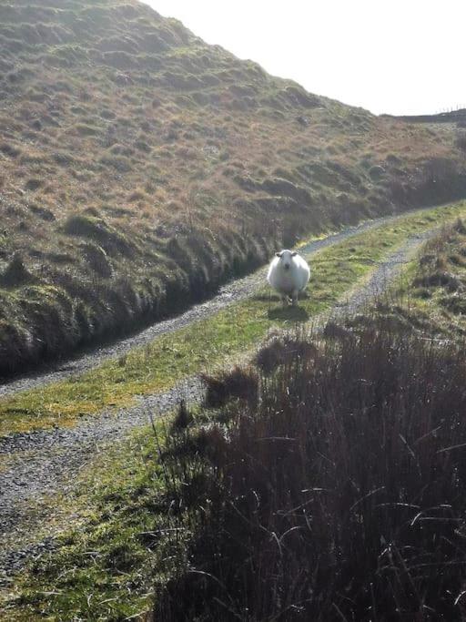 Zipworld Waterfalls Eryri Dogs Welcome 3 Bed Sleeps 5 Blaenau Ffestiniog Luaran gambar
